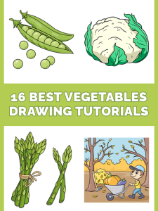 16 easy vegetables drawing tutorials pinterest image