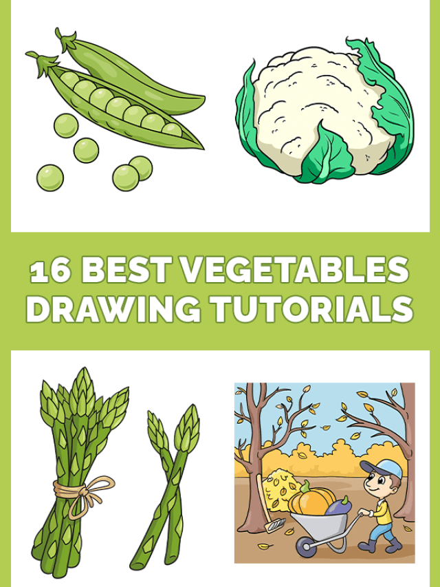 16 easy vegetables drawing tutorials pinterest image