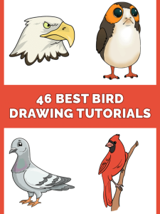 46 Easy Bird Drawing Tutorials Pinterest Image