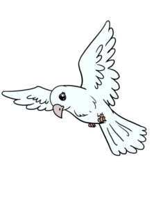 Bird drawing tutorial - web story - complete