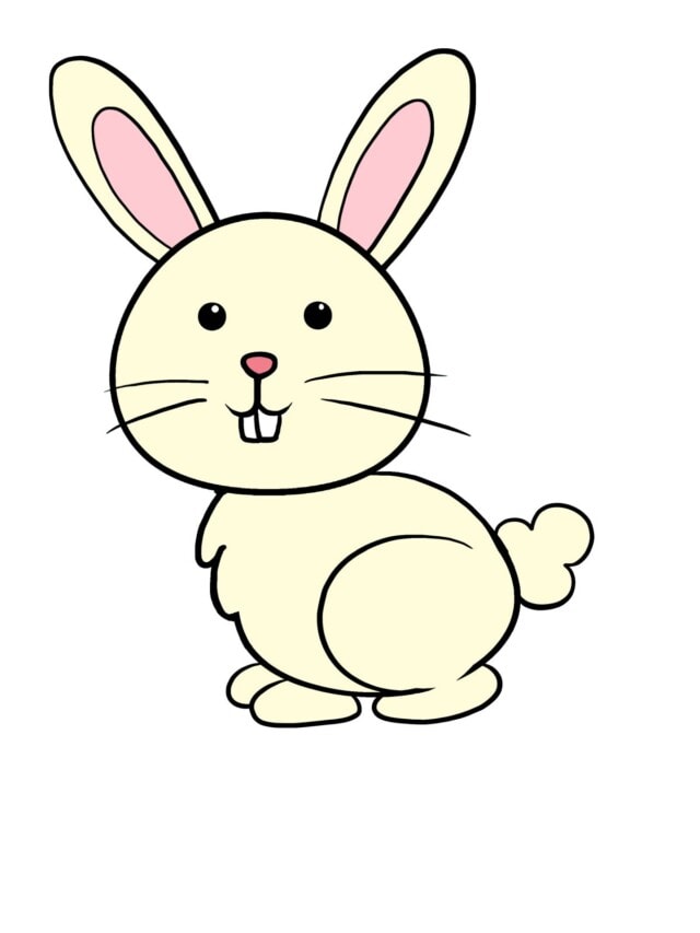 Bunny drawing tutorial - web story - complete