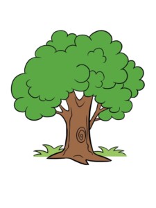 Cartoon Tree drawing tutorial - web story - complete