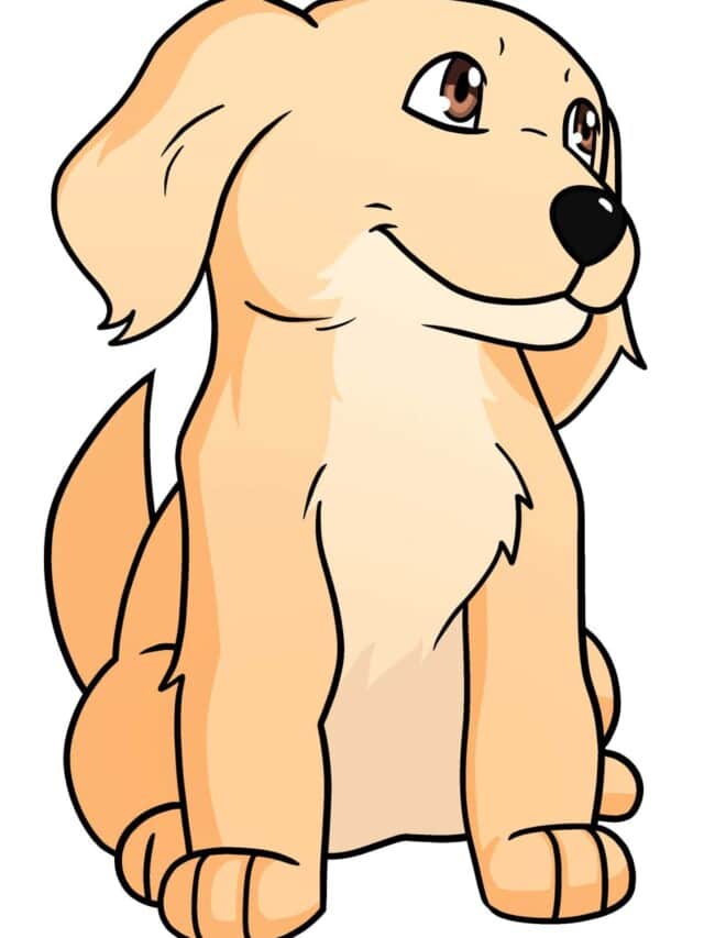Cute Dog drawing tutorial - web story - complete