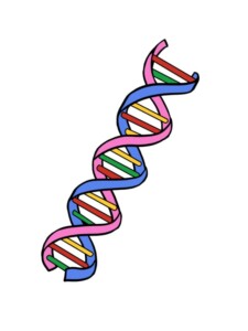 DNA drawing tutorial - web story - complete