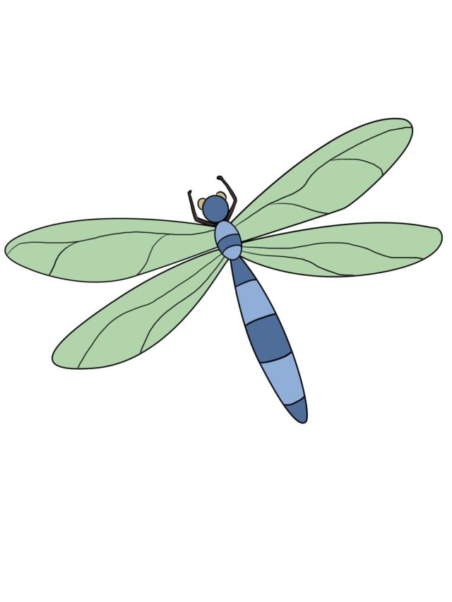Dragonfly drawing tutorial - web story - complete
