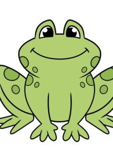 Easy Cartoon Frog drawing tutorial - web story - complete