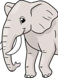 Elephant drawing tutorial - web story - complete