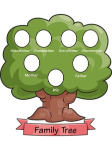 Family Tree drawing tutorial - web story - complete