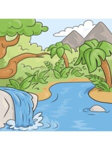 Jungle drawing tutorial - web story - complete