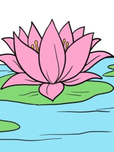Lotus Flower drawing tutorial - web story - complete