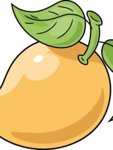 Mango drawing tutorial - web story - complete