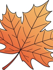 Maple Leaf drawing tutorial - web story - complete