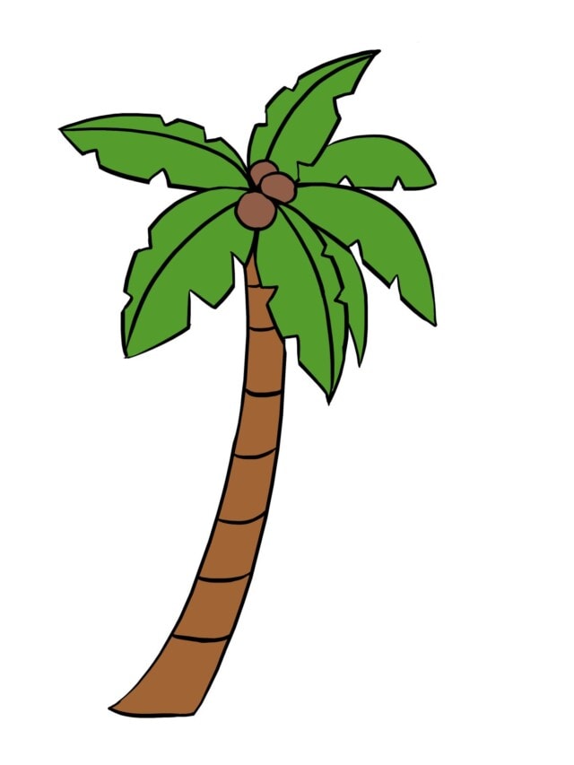 Palm Tree drawing tutorial - web story - complete