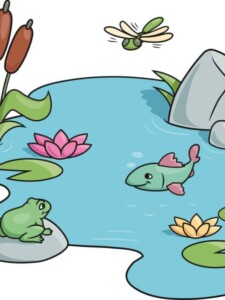 Pond drawing tutorial - web story - complete