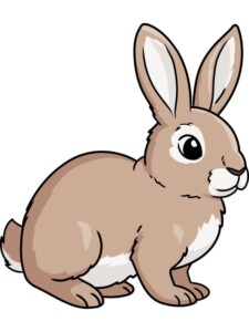 Rabbit drawing tutorial - web story - complete