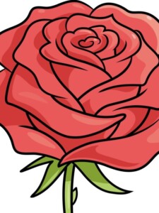 Realistic Rose Flower drawing tutorial - web story - complete