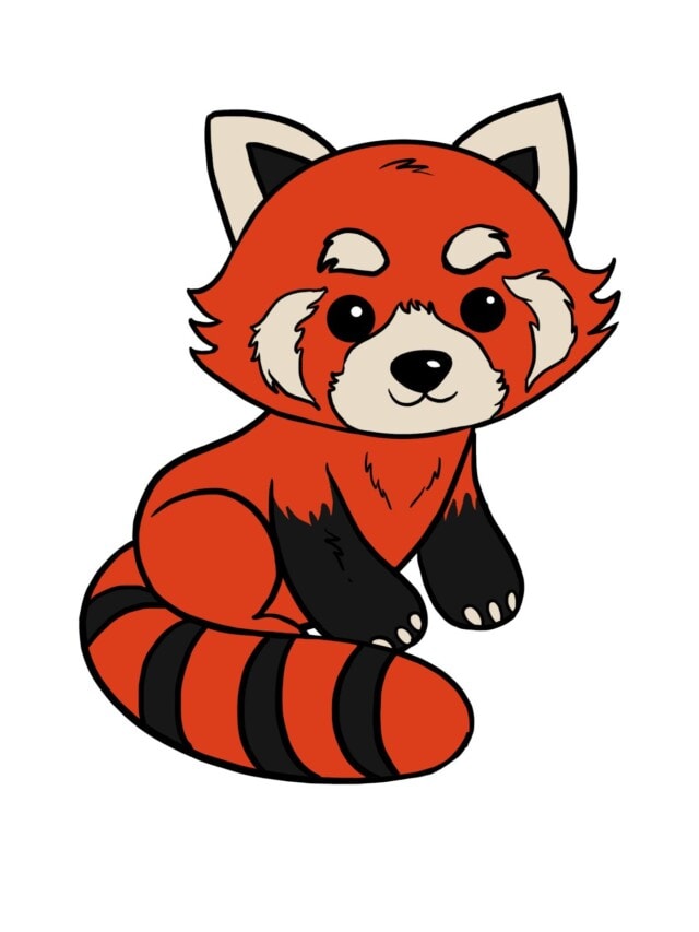 Red Panda drawing tutorial - web story - complete