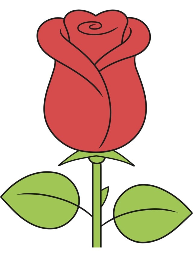 Simple, Quick Rose drawing tutorial - web story - complete