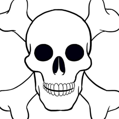Skull drawing tutorial - web story - complete