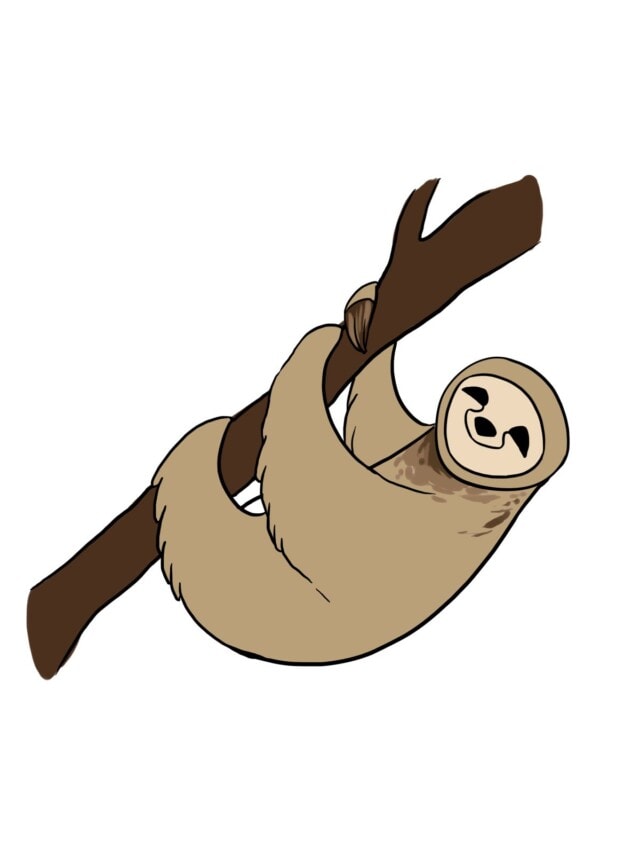 Sloth drawing tutorial - web story - complete