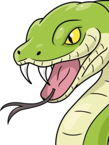 Snake Face and Head drawing tutorial - web story - complete