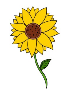 Sunflower drawing tutorial - web story - complete