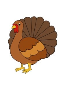 Turkey drawing tutorial - web story - complete