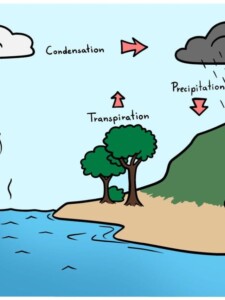 Water Cycle drawing tutorial - web story - complete