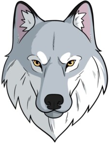 Wolf Face and Head drawing tutorial - web story - complete
