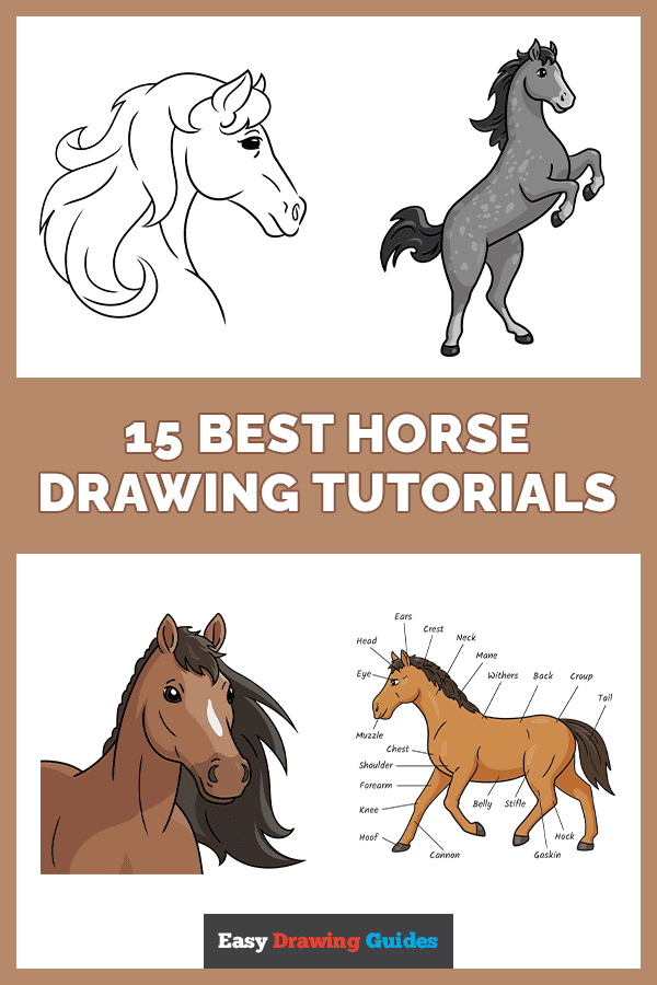 15 Easy Horse Drawing Tutorials for Kids Pinterest Image