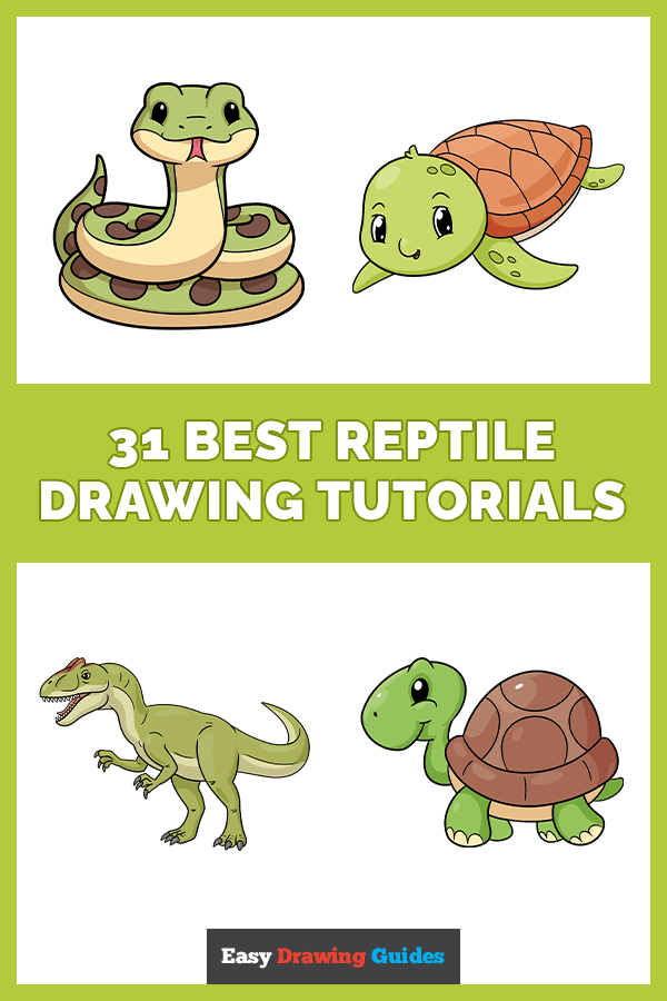31 Reptile Drawing Ideas Pinterest Image