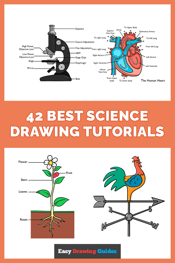 42 Easy Science Drawing Tutorials Pinterest Image