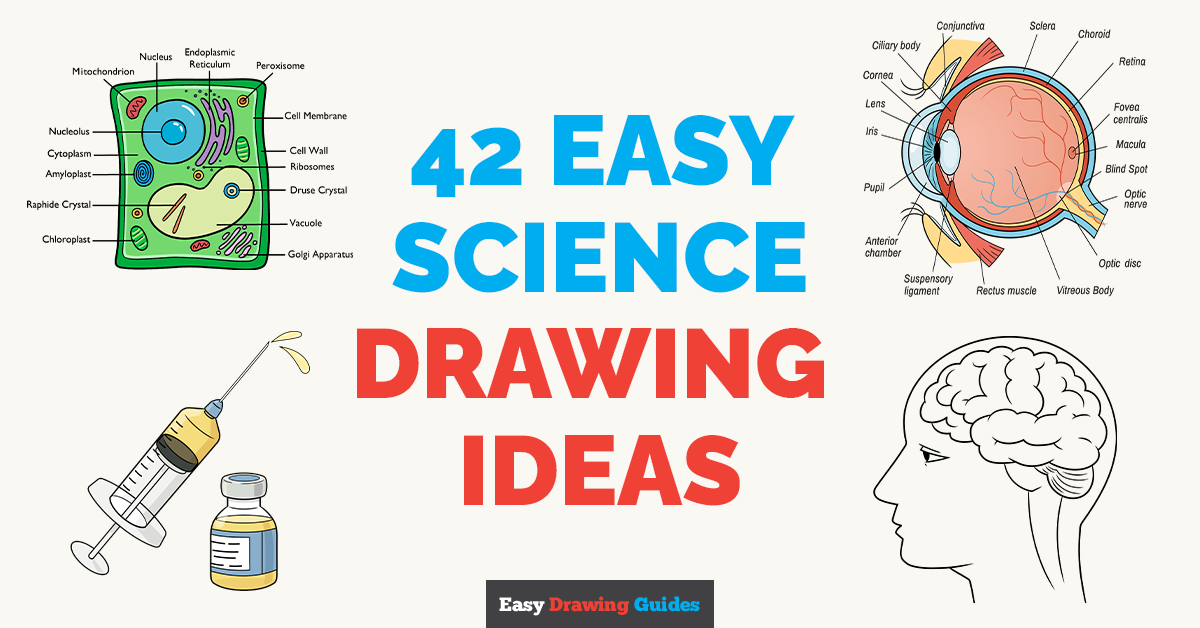 42 Easy Science Drawing Tutorials for Kids Featured Image