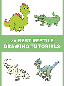20 Reptile Drawing Ideas Pinterest Image