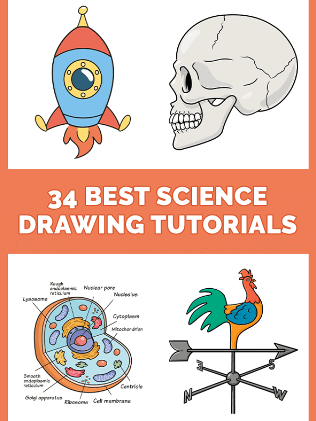 34 Easy Science Drawing Tutorials Pinterest Image
