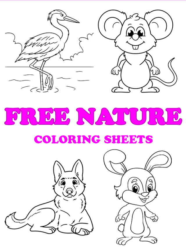 Free printable nature coloring pages - Pinterest image