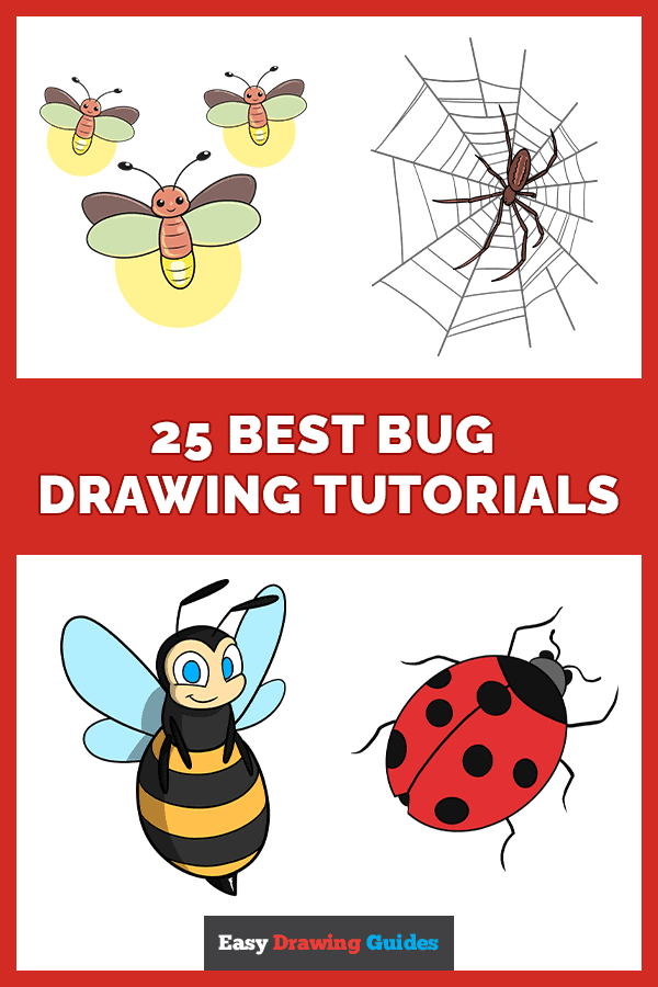 25 Easy Bug Drawing Tutorials Pinterest Image