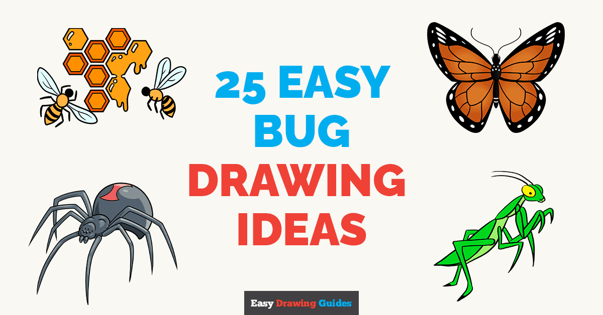 25 Easy Bug Drawing Tutorials Featured Image