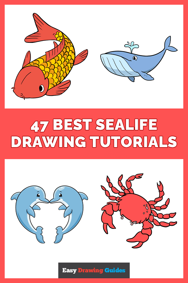 47 Sealife Drawing Tutorials for Kids Pinterest Image