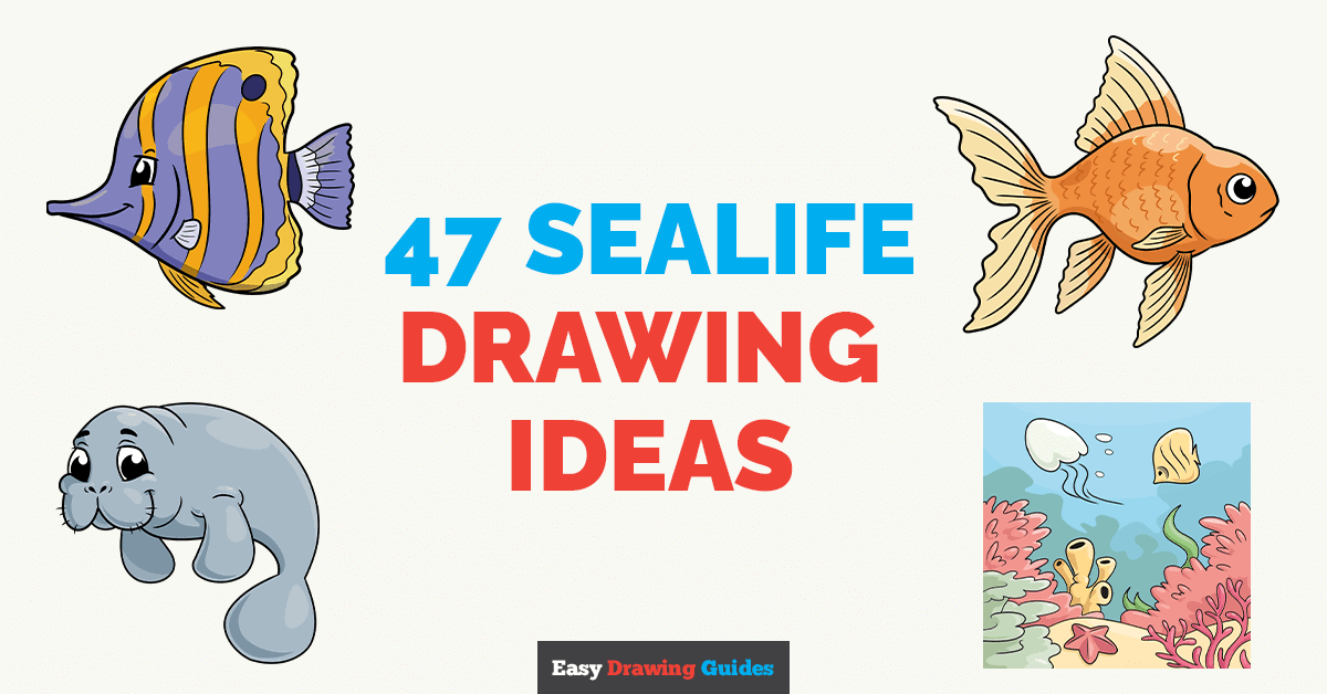 47 Sealife Drawing Tutorials for Kids Featured Image