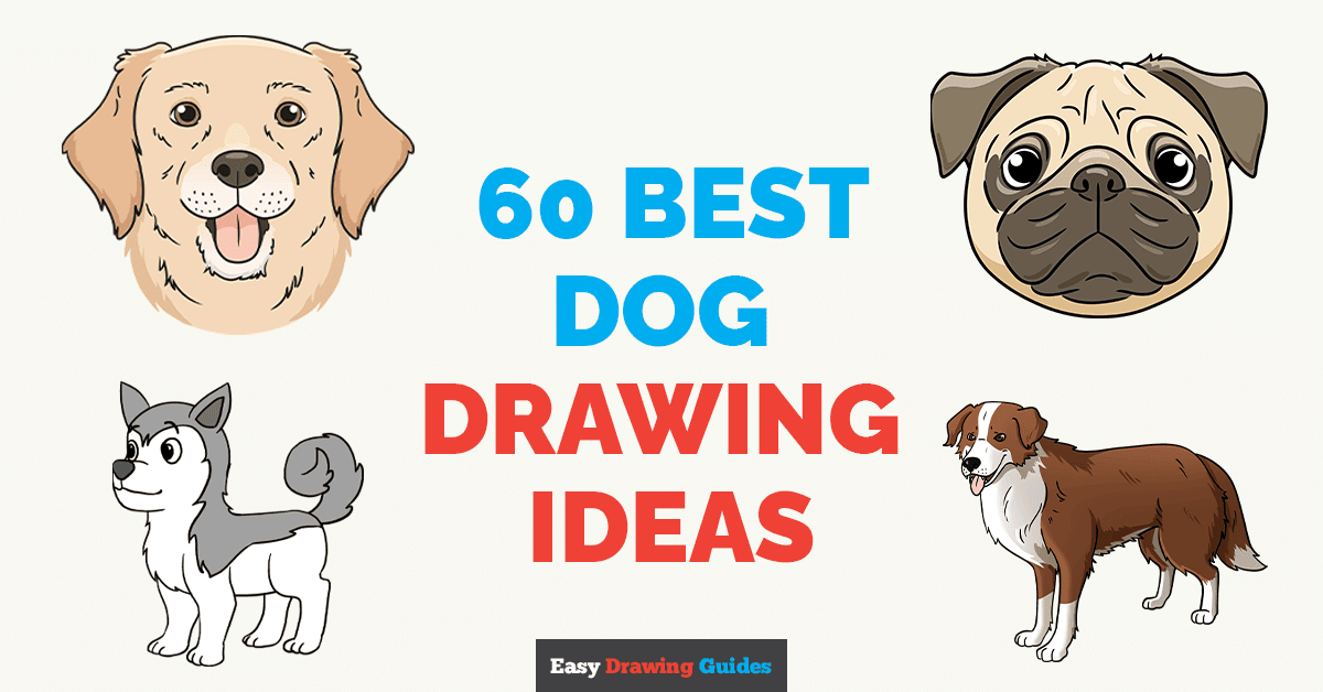 60 Easy Dog Drawing Ideas