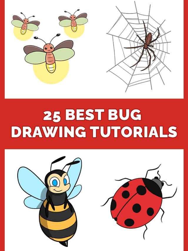 25 Easy Bug Drawing Tutorials Pinterest Image