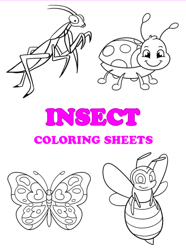 Free printable insect coloring pages - Pinterest image