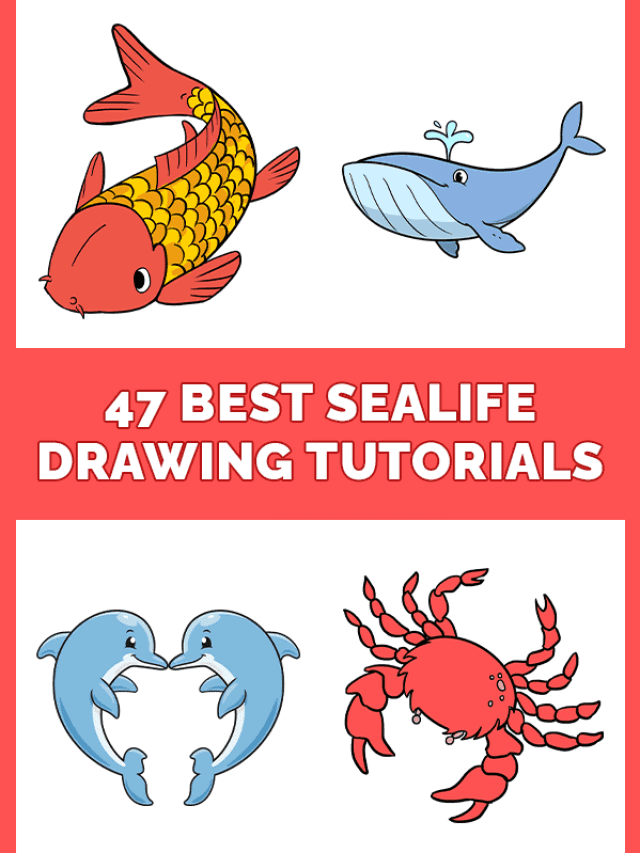 47 Sealife Drawing Tutorials for Kids Pinterest Image
