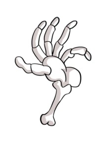 Skeleton Hand drawing tutorial - web story - complete