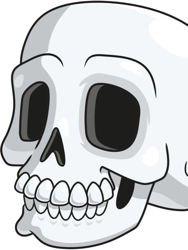 Cartoon Skull drawing tutorial - web story - complete
