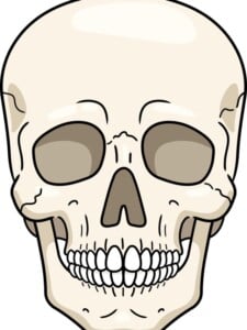 Realistic Skull drawing tutorial - web story - complete
