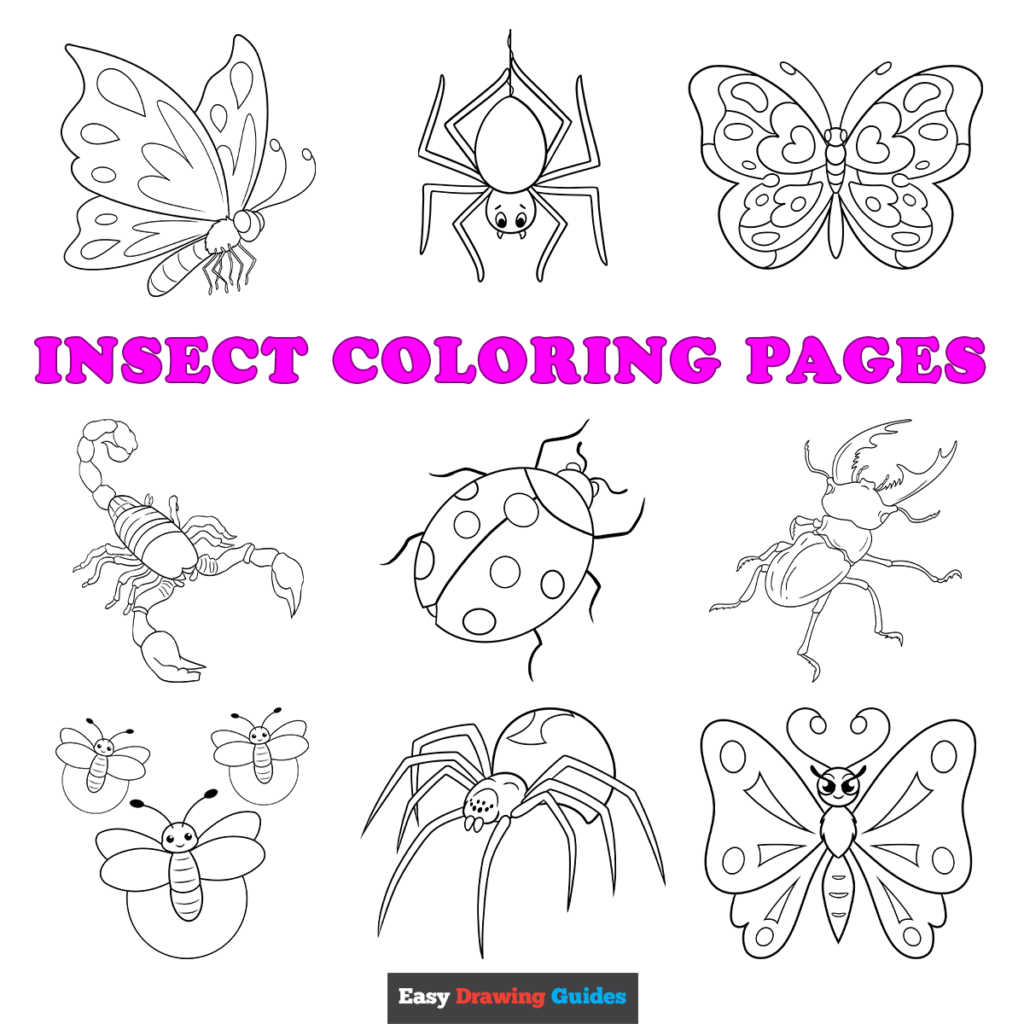 Free Printable Insect Coloring Pages For Kids Free Printable Insect Coloring Pages For Kids
