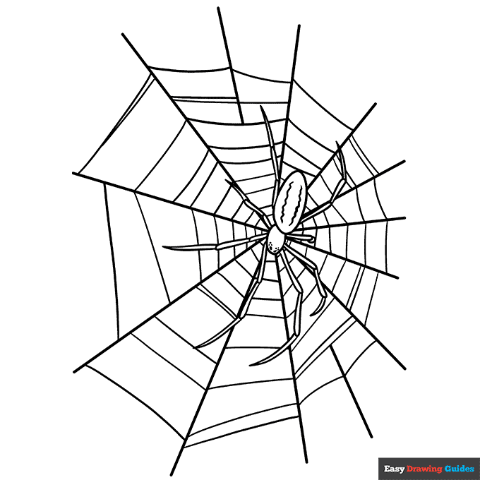 Free printable spider web with spider coloring page