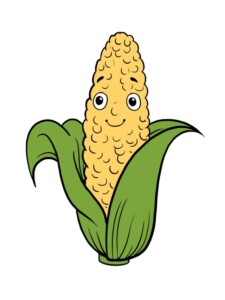 Corn Cob drawing tutorial - web story - complete